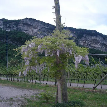 Agritur Giovanazzi * 아르코